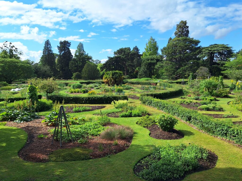 ケンブリッジ大学植物園の木製テラスから見下ろす庭園風景