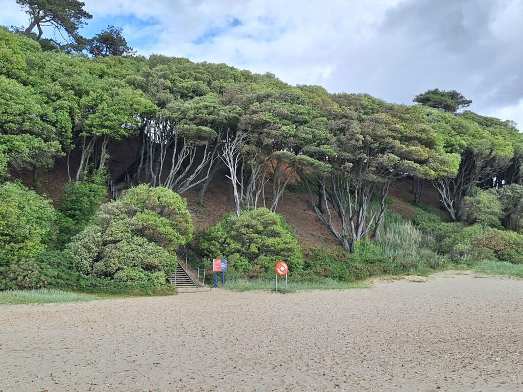 砂浜から見るスティーマー・ポイント自然保護区への階段