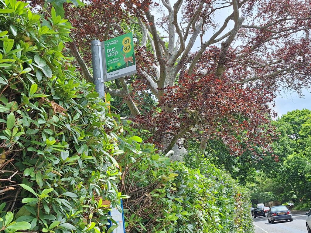 The Oaks前のバス停