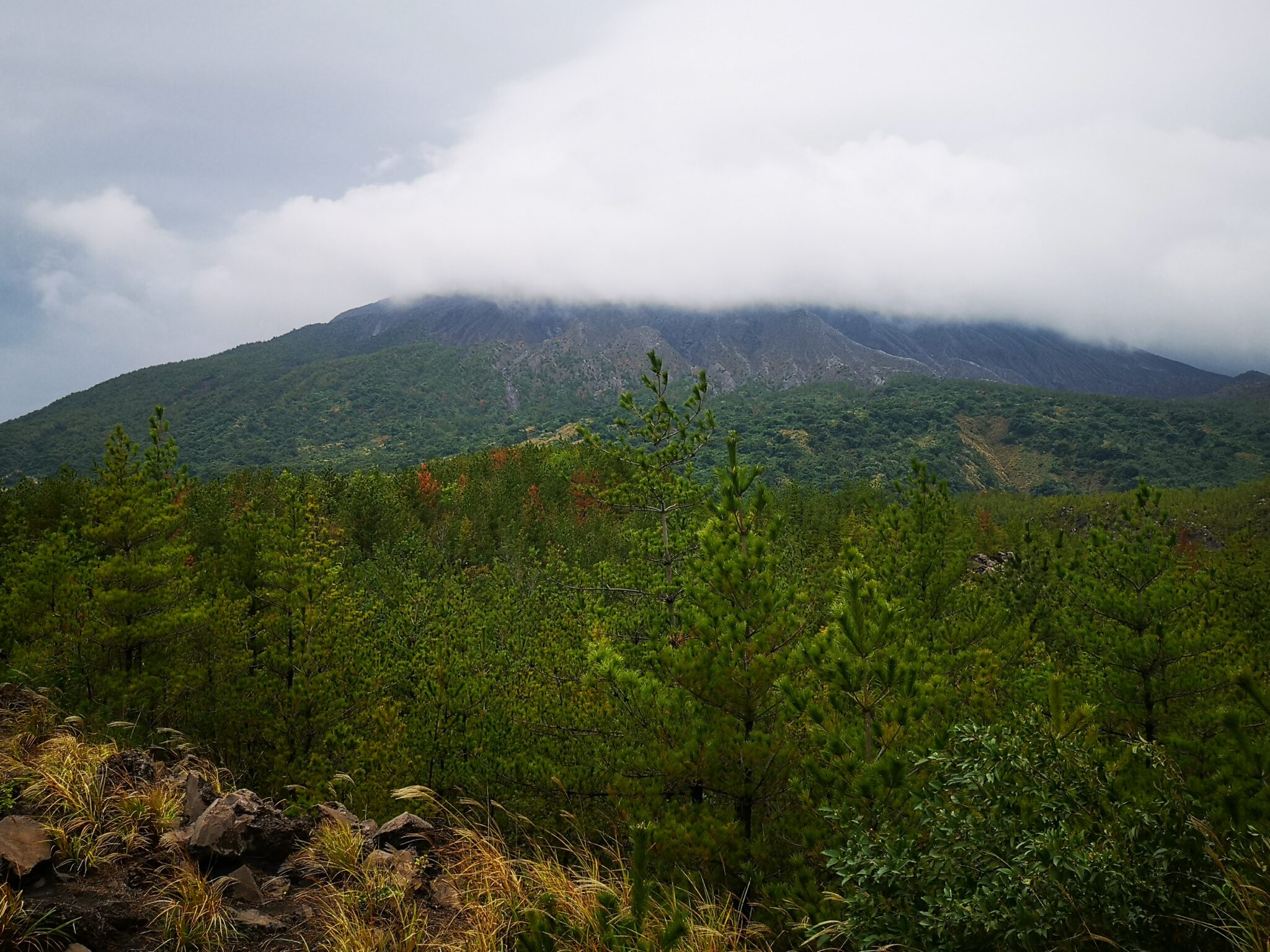 Sakurajima Island | Mai and Chris Travel