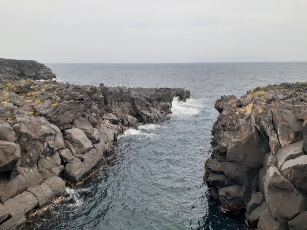 Igaigane