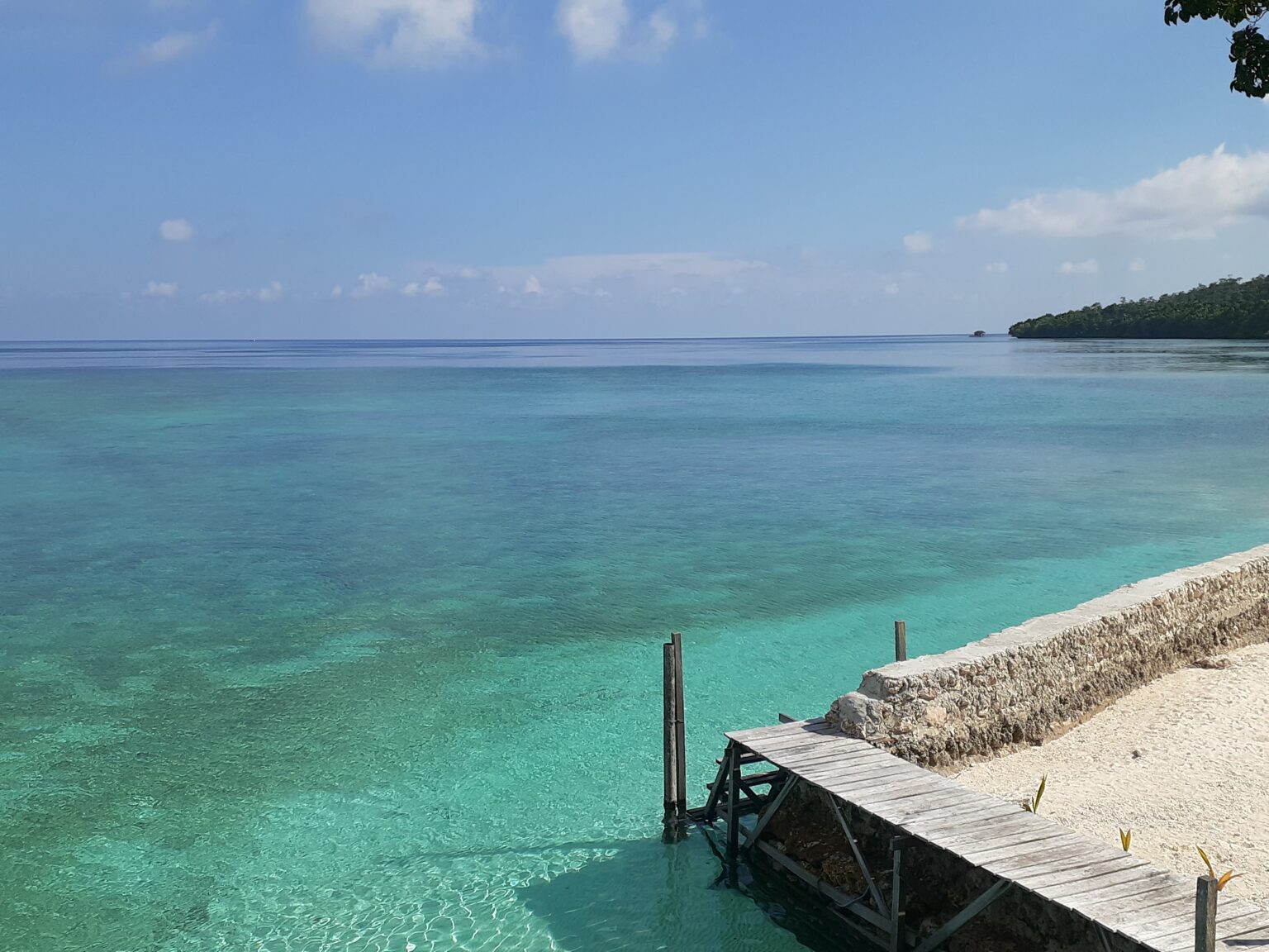 Snorkelling on Maratua Island! Guesthouses and how to get to Maratua ...