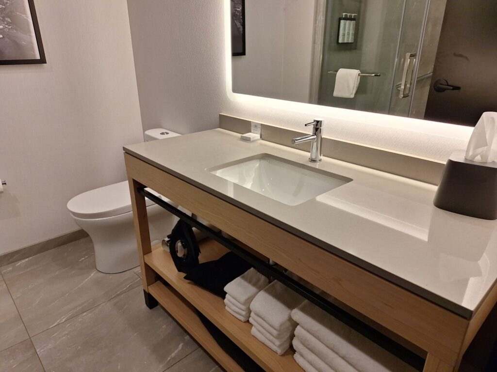 A bathroom in the twin room of Hyatt place Montreal airport