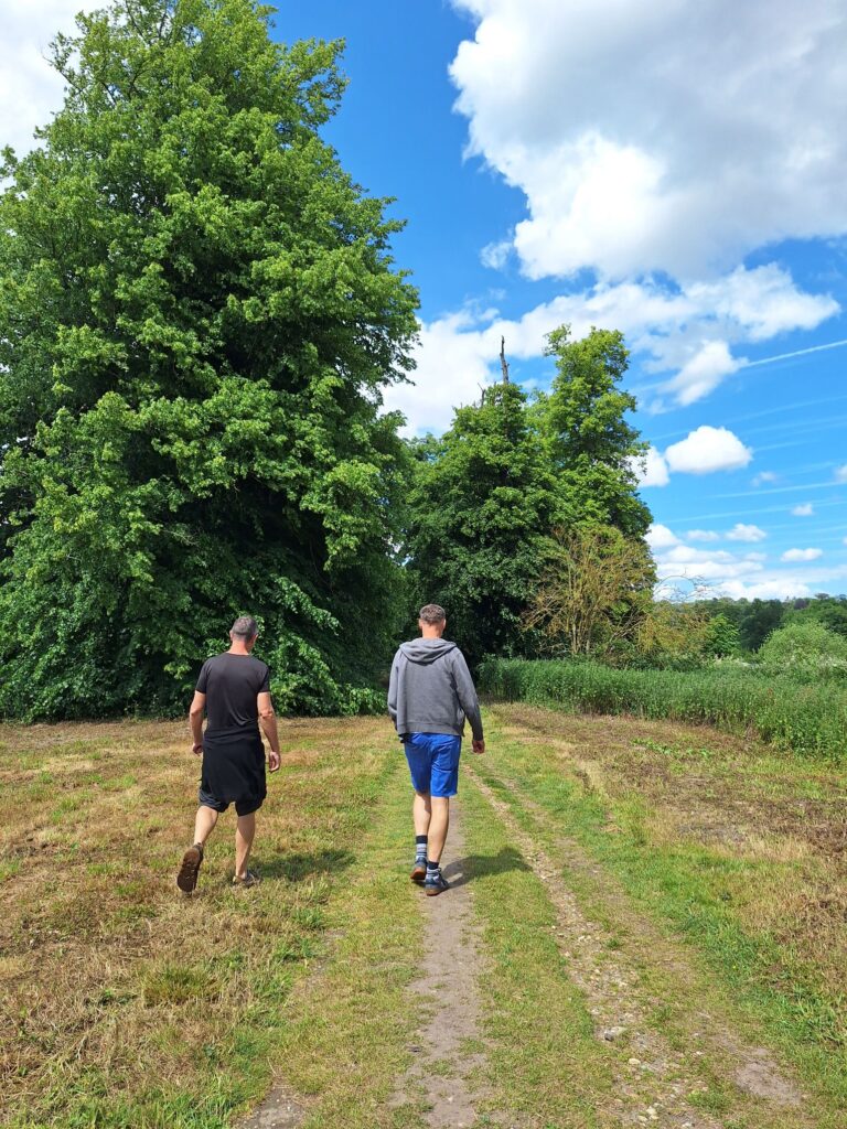 Walking in the Trowse Woods