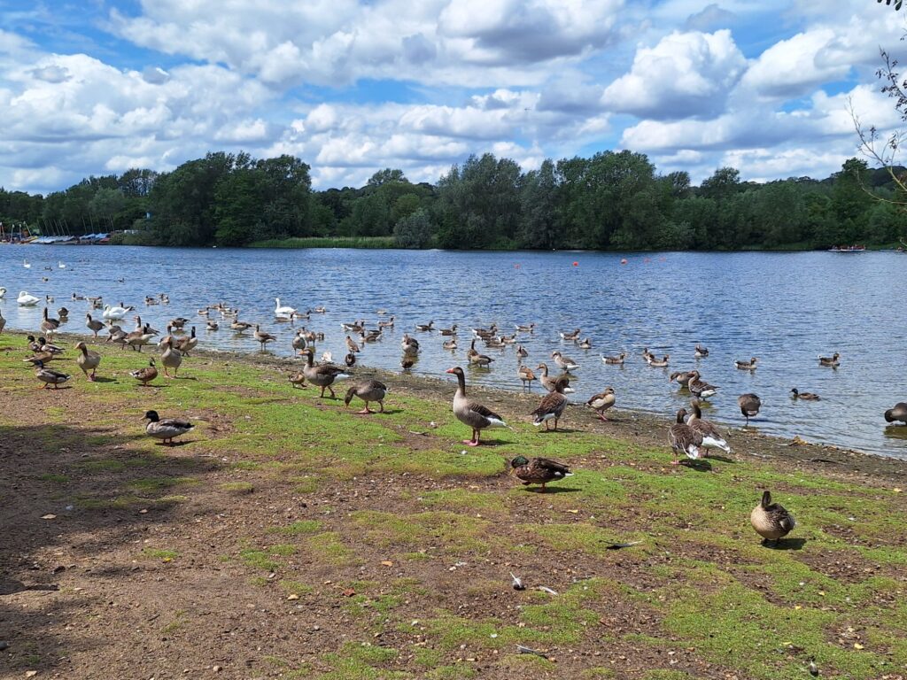 Whitlingham Country Park