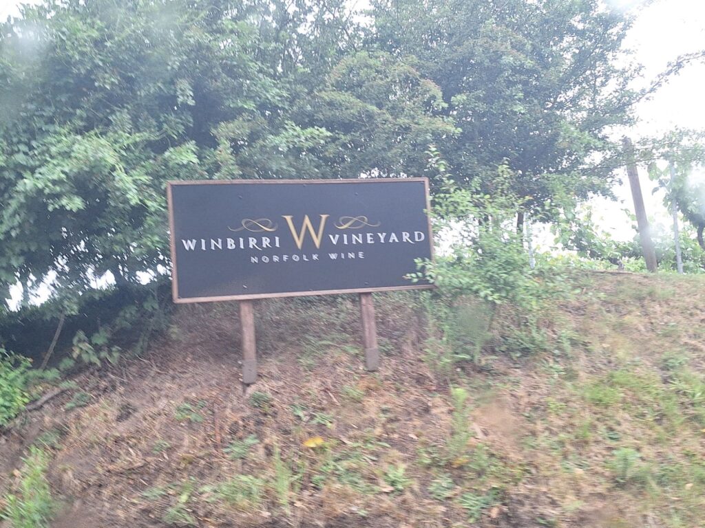 Winbirri Vineyard
