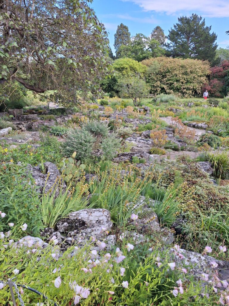 Rock garden in Cambridge university botanical garden