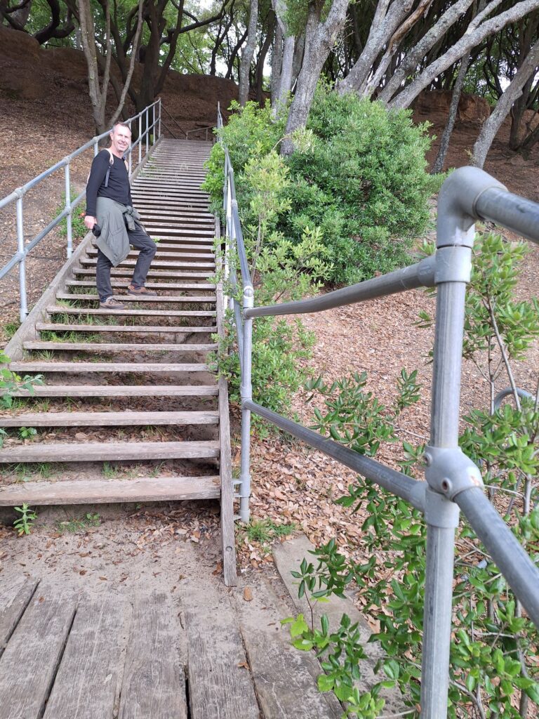 Steps for Highcliffe Castle