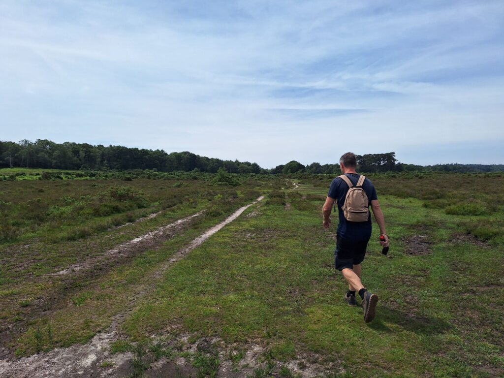 Walking in the New Forest 