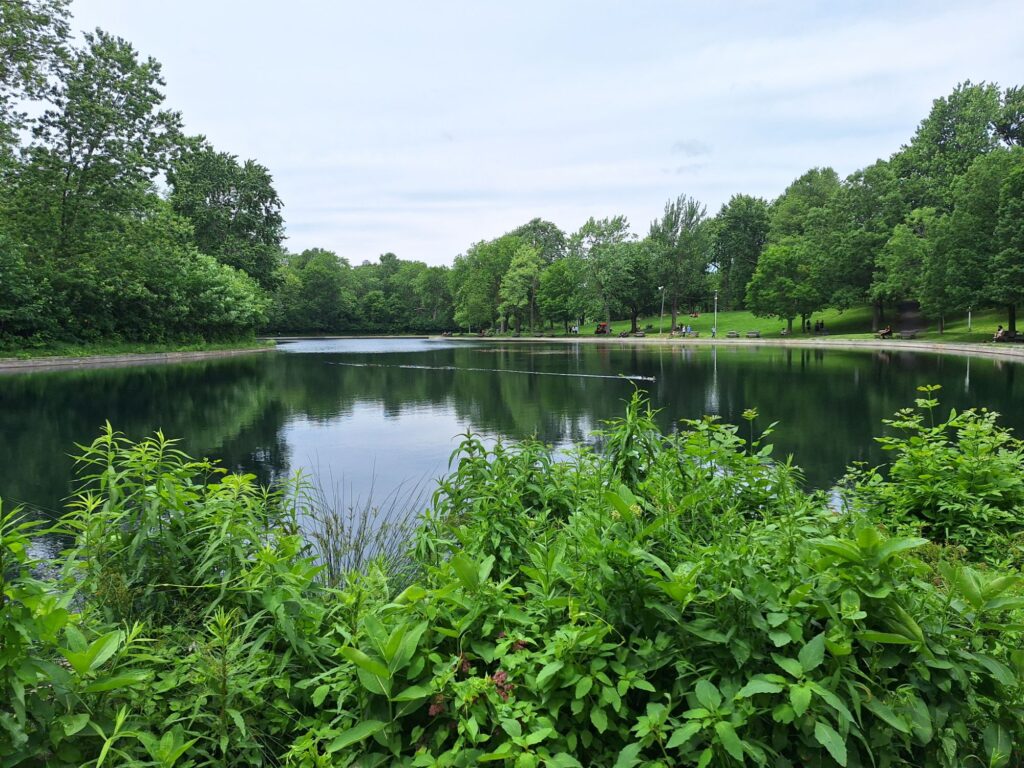 Parc La Fontaine