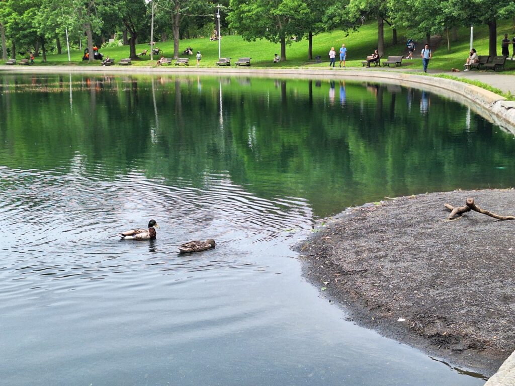 Parc La Fontaine