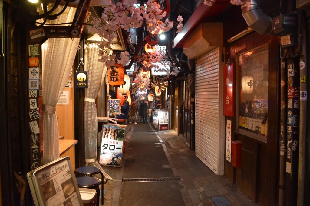 Omoide Yokocho in Shinjuku
