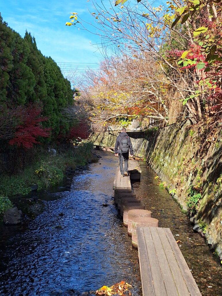 Walking along the Genbegawa river in Mishima