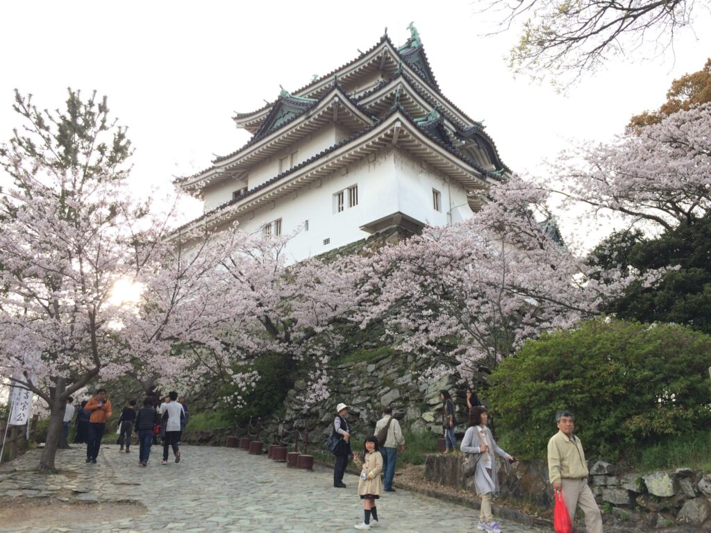 Wakayama Castle in spring