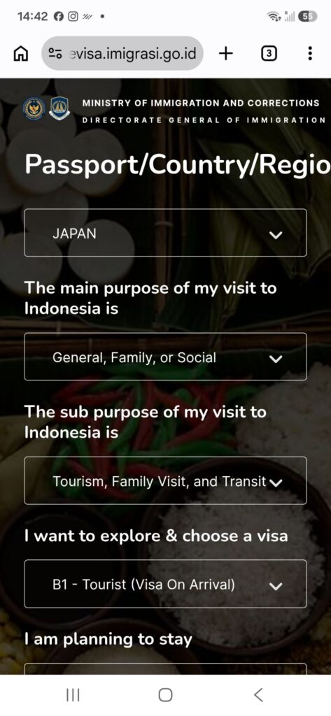 Indonesian arrival visa application form