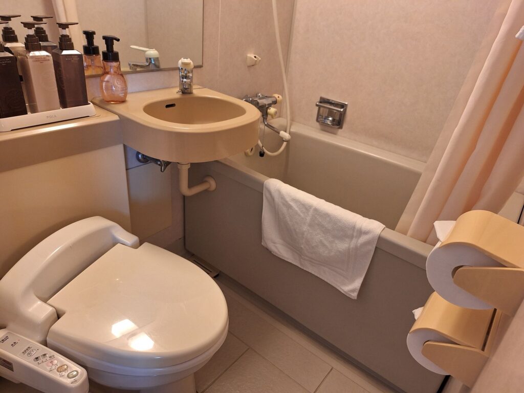 Bathroom of Hotel Ace Morioka
