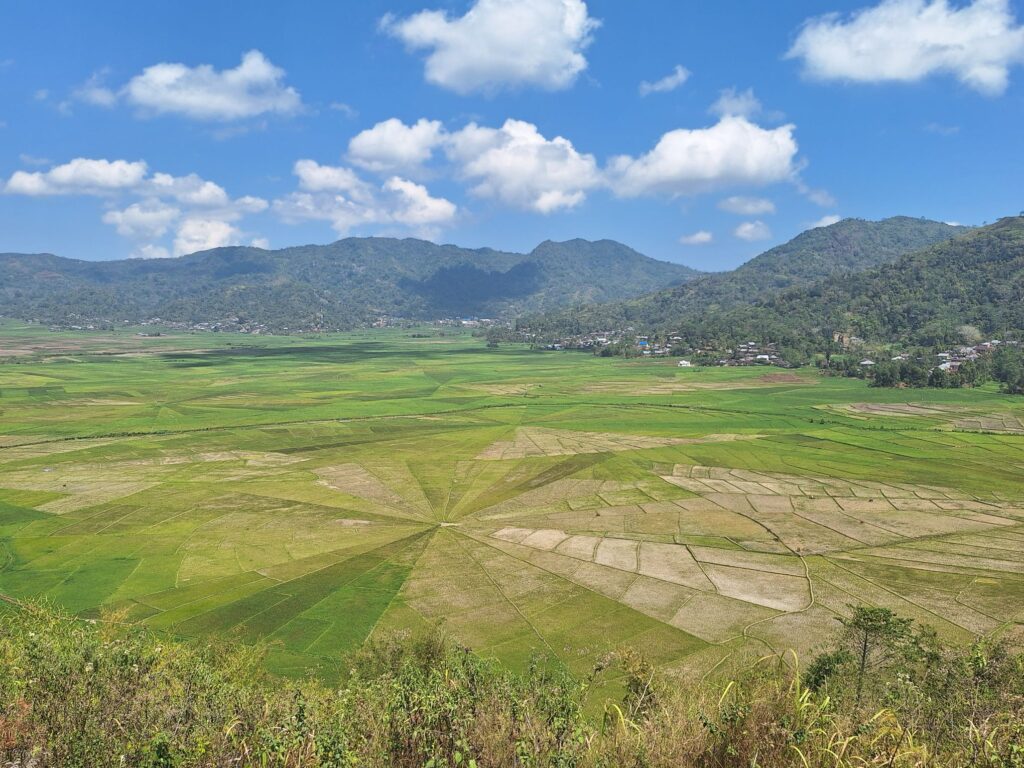 Lingko Spider Web Rice Fields [LSW]